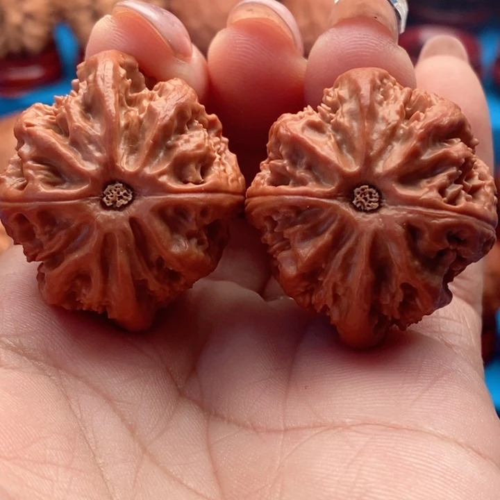 核桃精品文玩核桃手捻蚁王