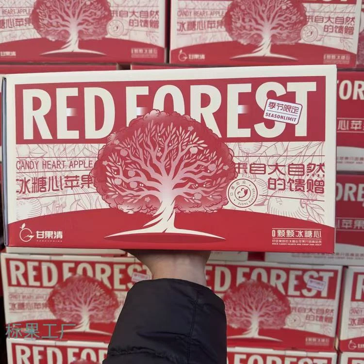 新疆阿克苏冰糖心苹果·1箱（箱约10斤）【80～85果，礼盒装】【甘果清牌】