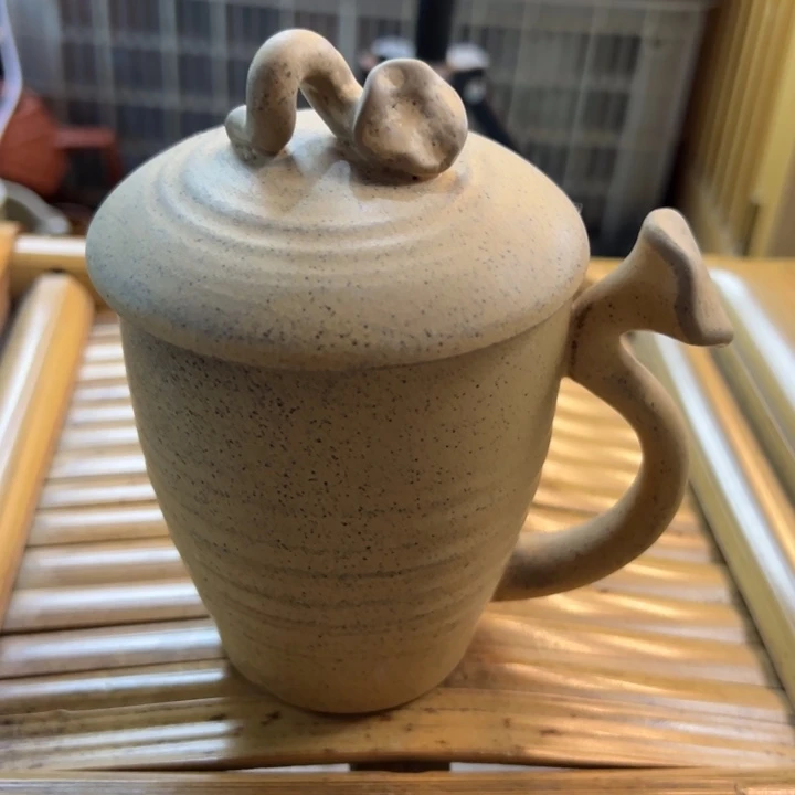瓷片罐内放着一些新品种植物以及植物