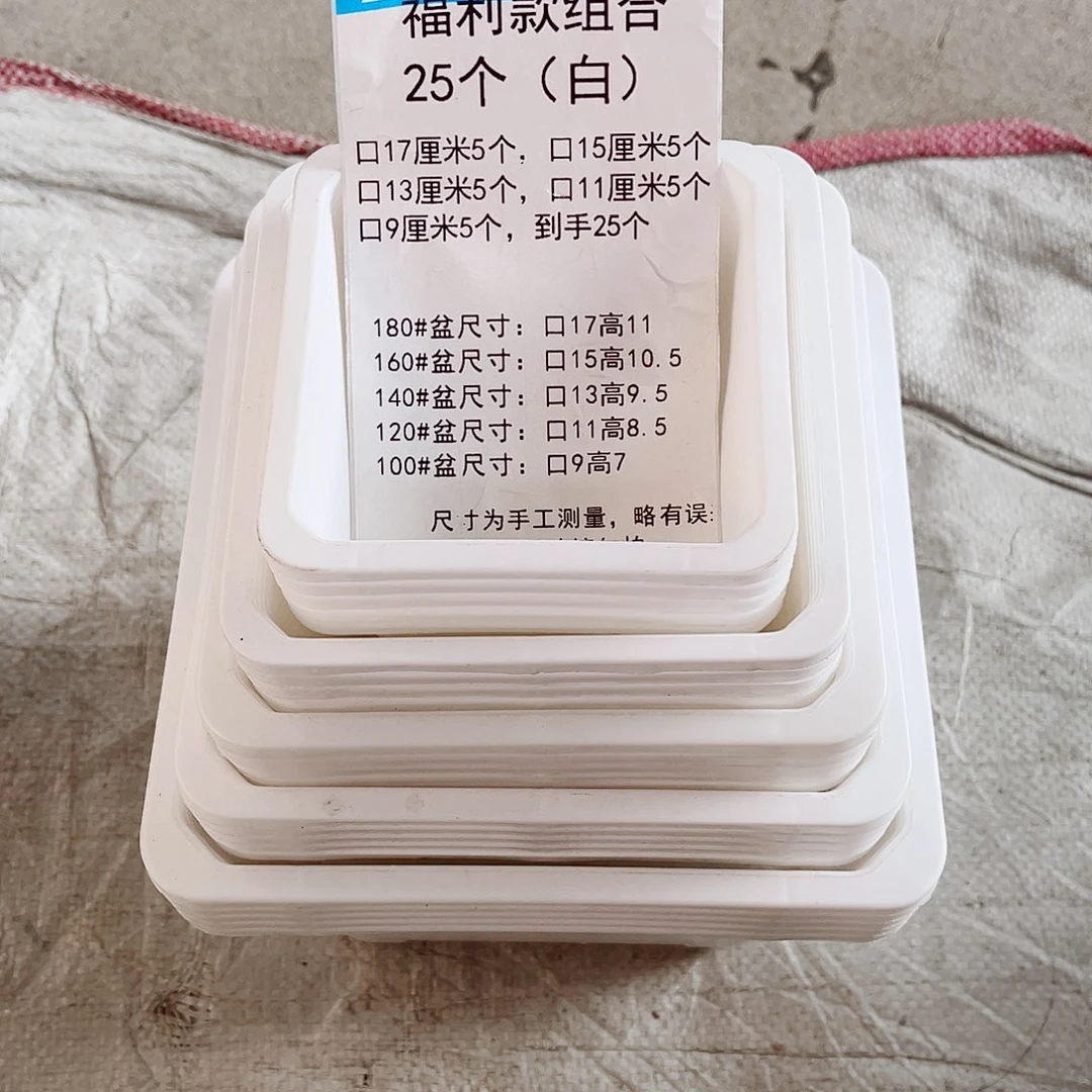塑料福利款组合装25个无托白色