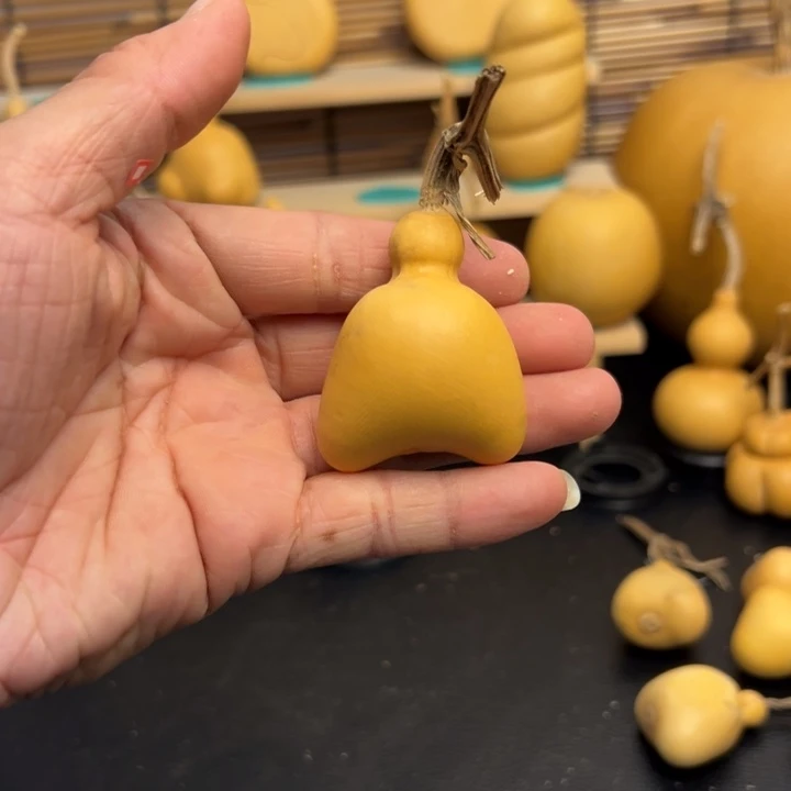 派*鑫5555585555555556699