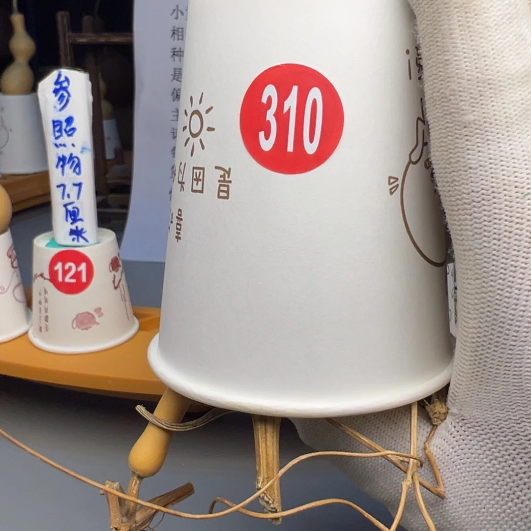 *****闪电购自助下单编号310