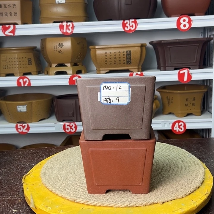 花盆紫砂你在一起