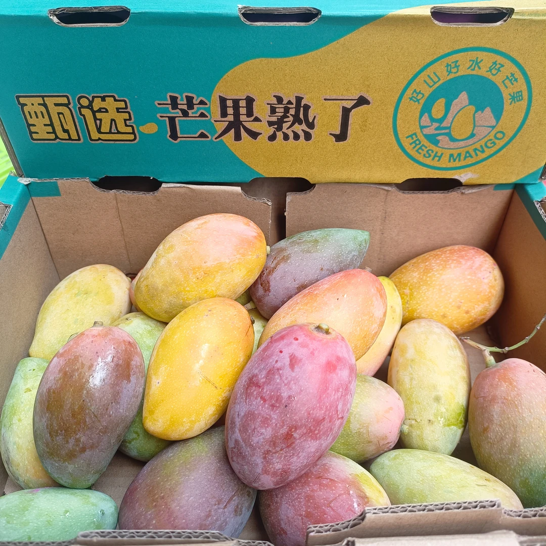 助农贵妃芒2.8-6斤（坏果包赔）海南省