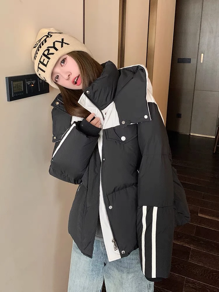 时尚女款冬季保暖上衣（小熊猫）