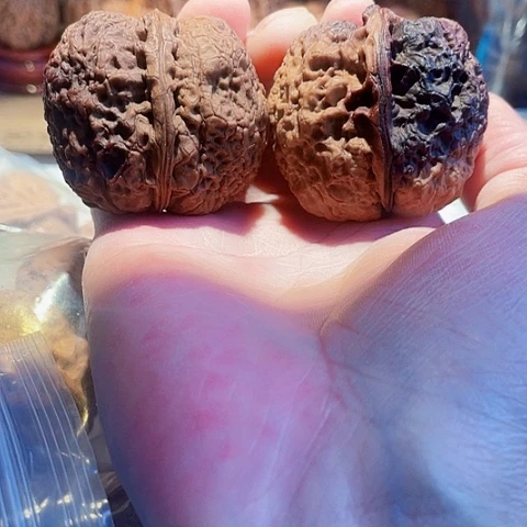 文玩核桃把件花和尚彩阴46