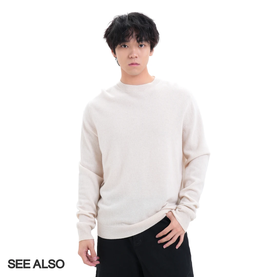 SEE ALSO『100%精纺羊毛』24FW秀款老钱极简舒适打底长袖LD4253