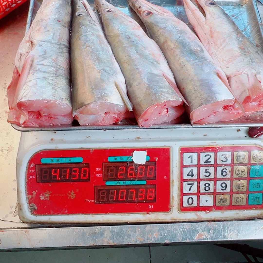 中国大陆五个鳗鱼头