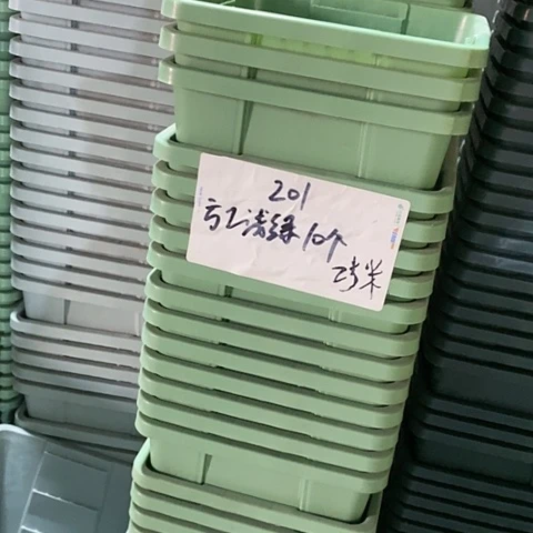 树脂编号201无托10个