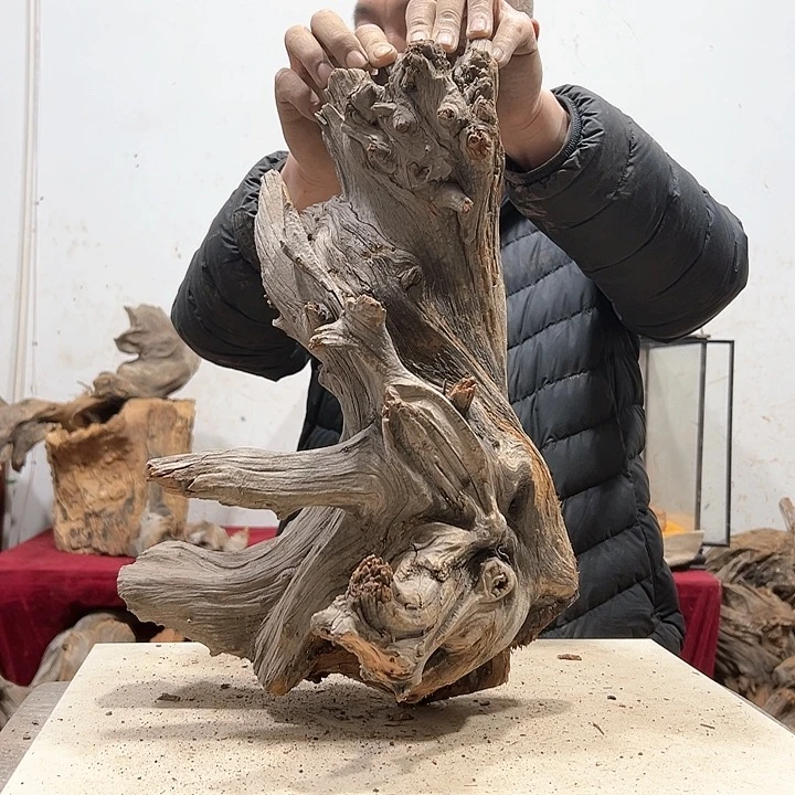 柏木知****我们都是好孩子呀我也