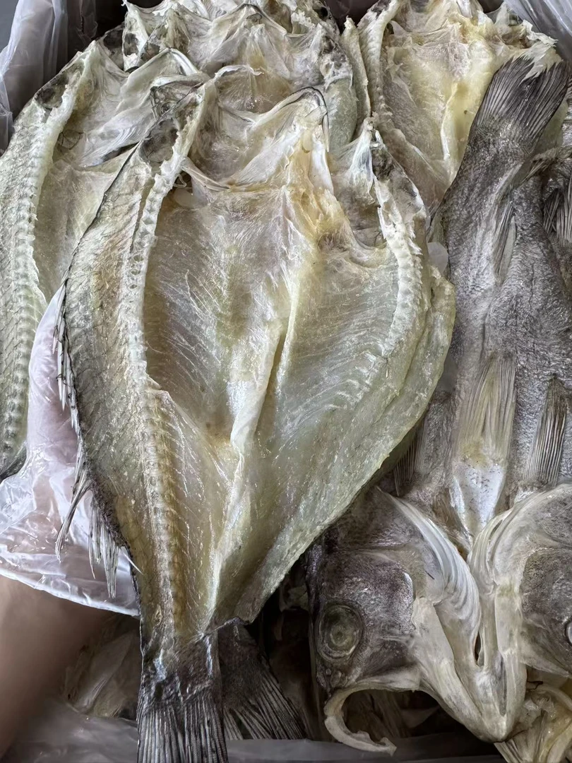 渔民自晒 淡干海鲈鱼片