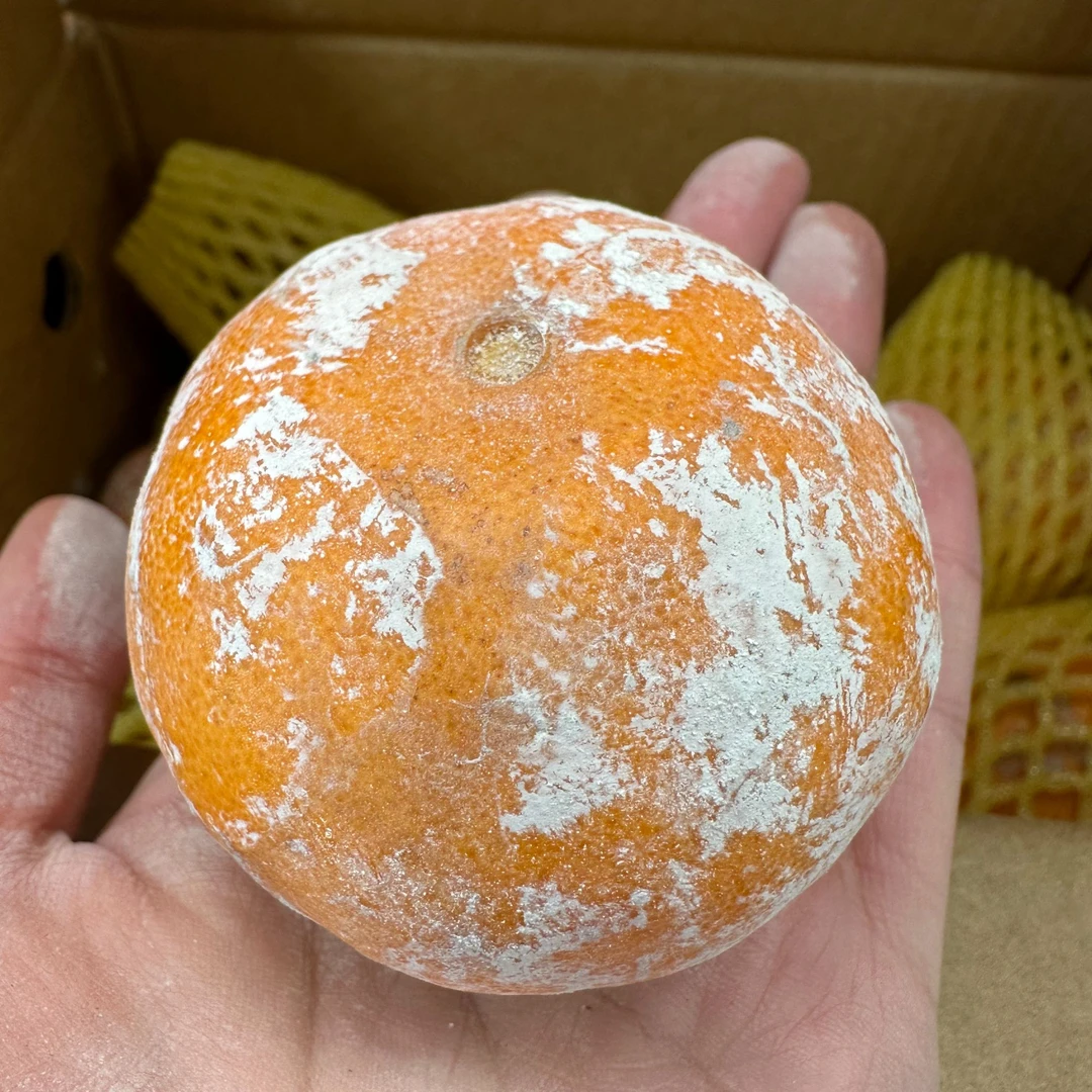 【脏脏柑】广西 沃柑甜度高 9个 800g广东省