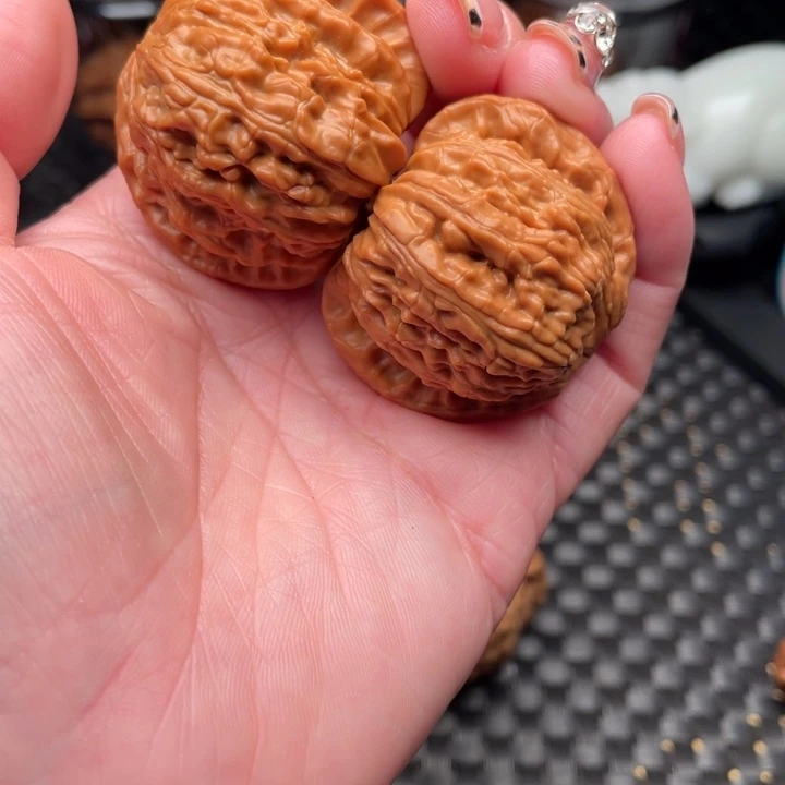 T***下40尺，白狮子，打底发货
