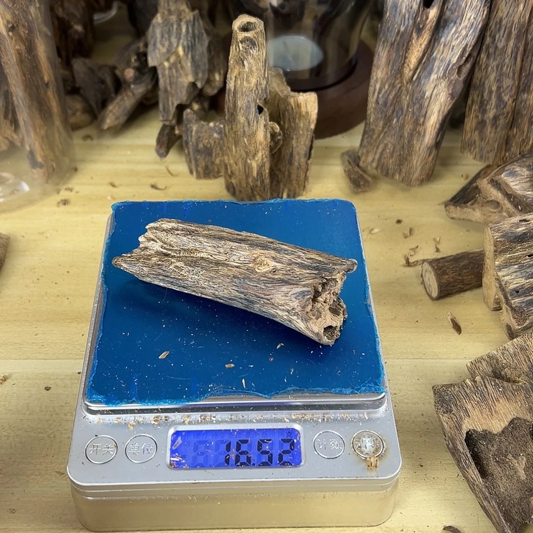 香料绿棋楠虫漏16克乌身