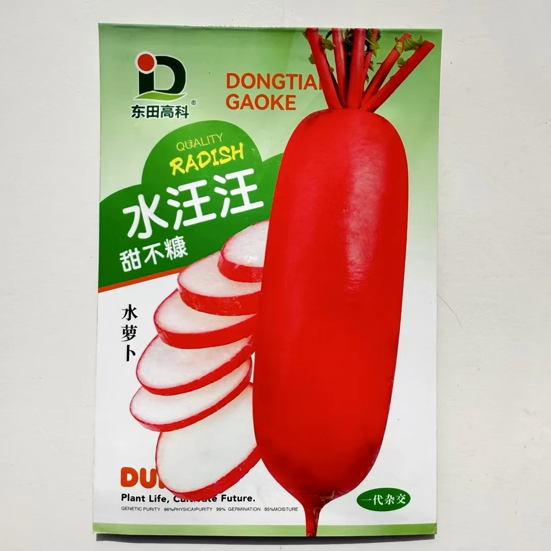 水汪汪甜不糠水萝卜种子红皮白心脆甜种籽高产春季秋季蔬菜种孑