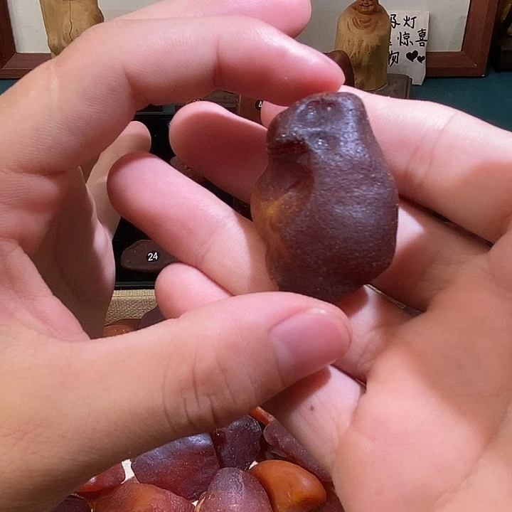 裸石琥珀未镶嵌金胶蜜