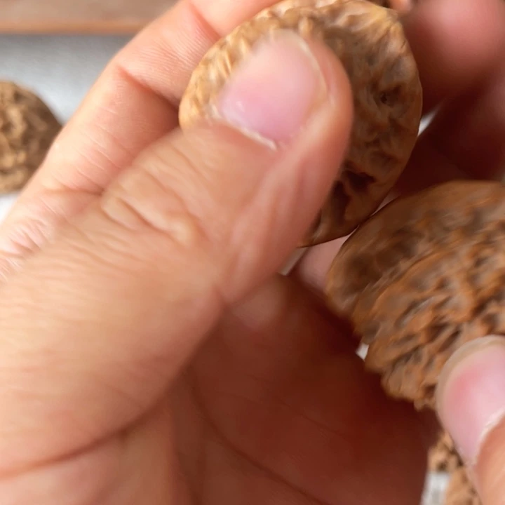 核桃其他秦岭核桃种植