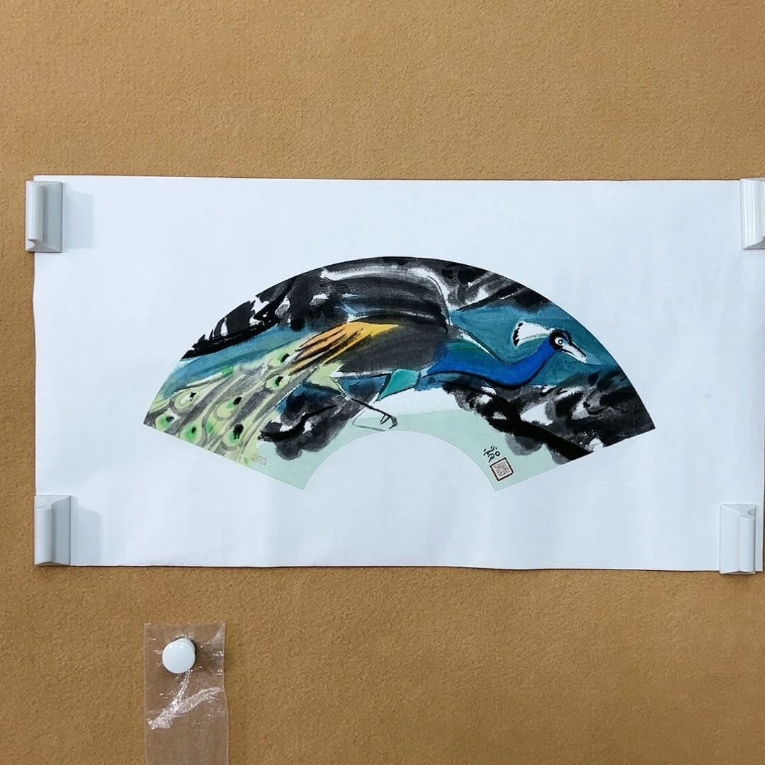 国画（g82146）孔雀 书画