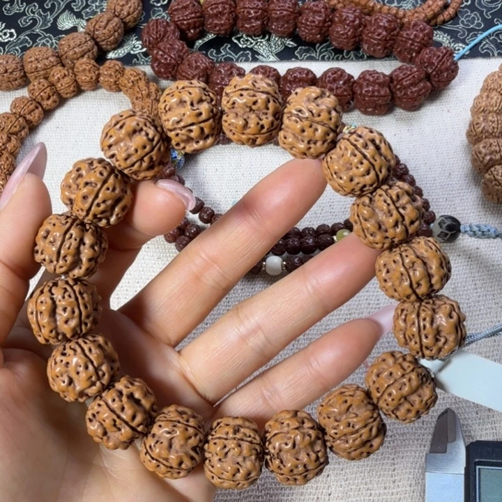 手串金刚菩提帝王龙