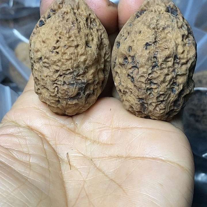 把件文玩核桃云南铁核桃82