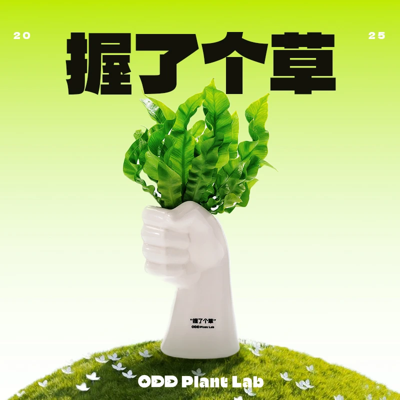 ODD-【握了个草】火焰鸟巢蕨桌面懒人盆栽好养工位绿植创意绿植