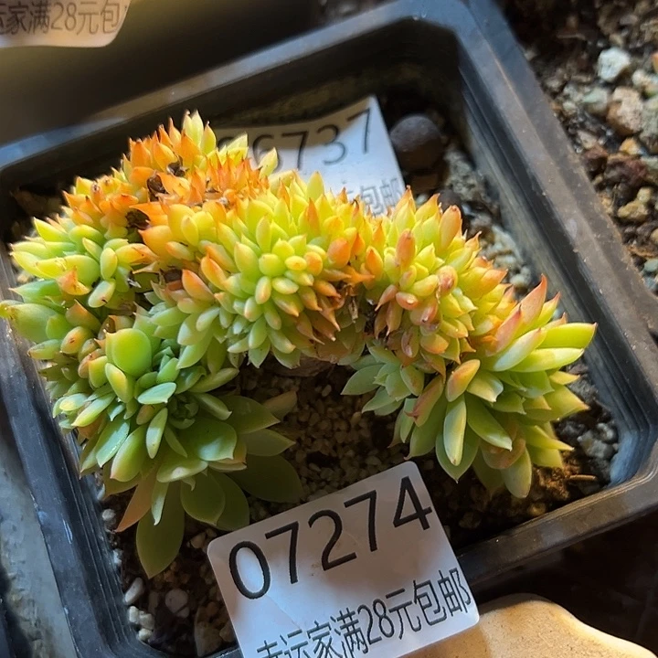 幸运的是我还没遇到过