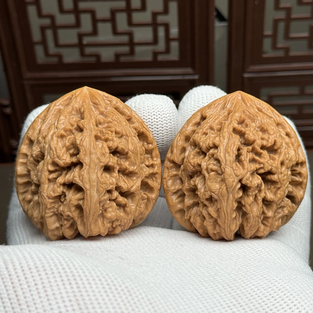 精选平谷大粗筋，边45肚46高45，原桩大粗筋骨质密实克重足一物一图