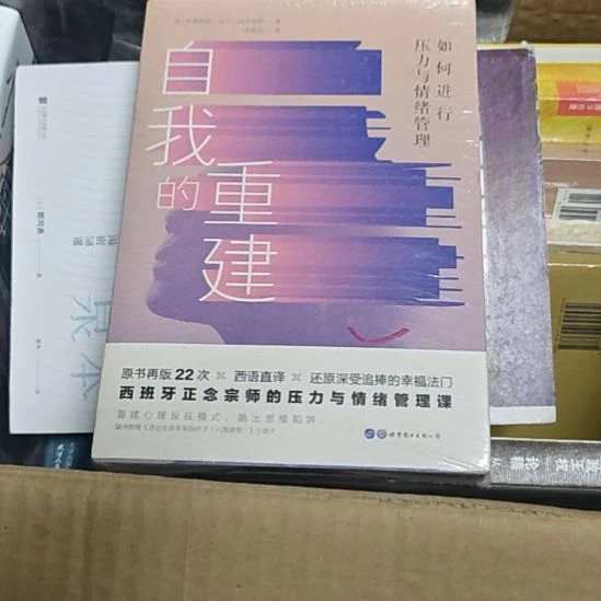 自我的重建，平装库存书