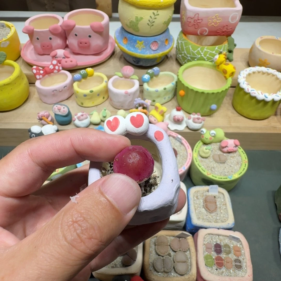 下****饭蘑菇217灯泡灯泡