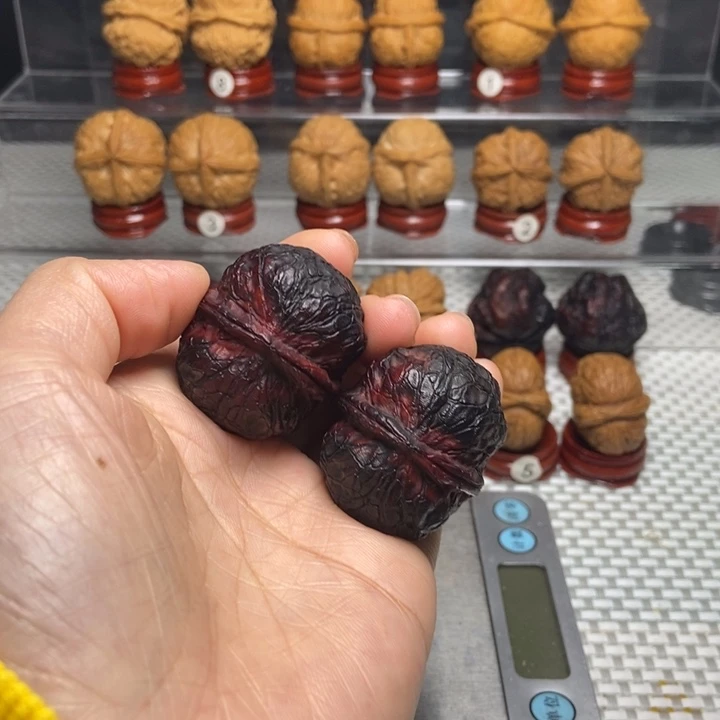 文玩核桃把件32玄武元宝七彩