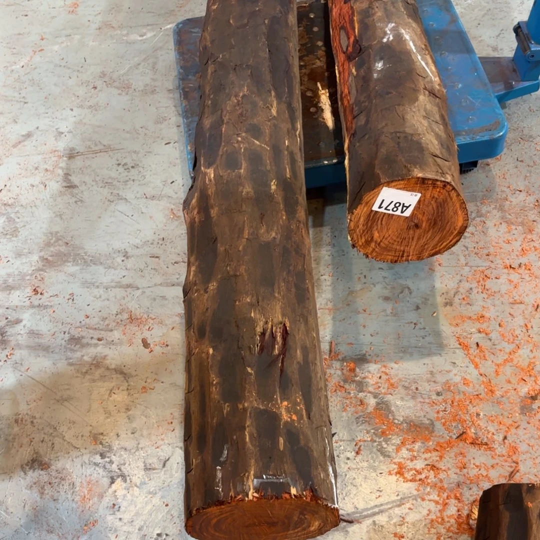 和***店一物一拍血檀编码871