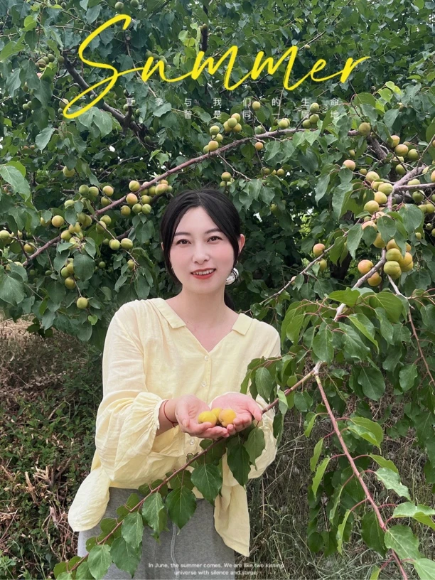 新疆伊犁小红杏新鲜吊干杏树上干杏现采现摘吊死干香甜可口26年见