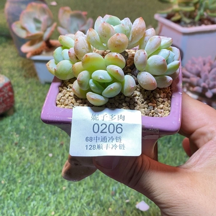 0206啊啊啊啊啊啊啊啊啊啊啊