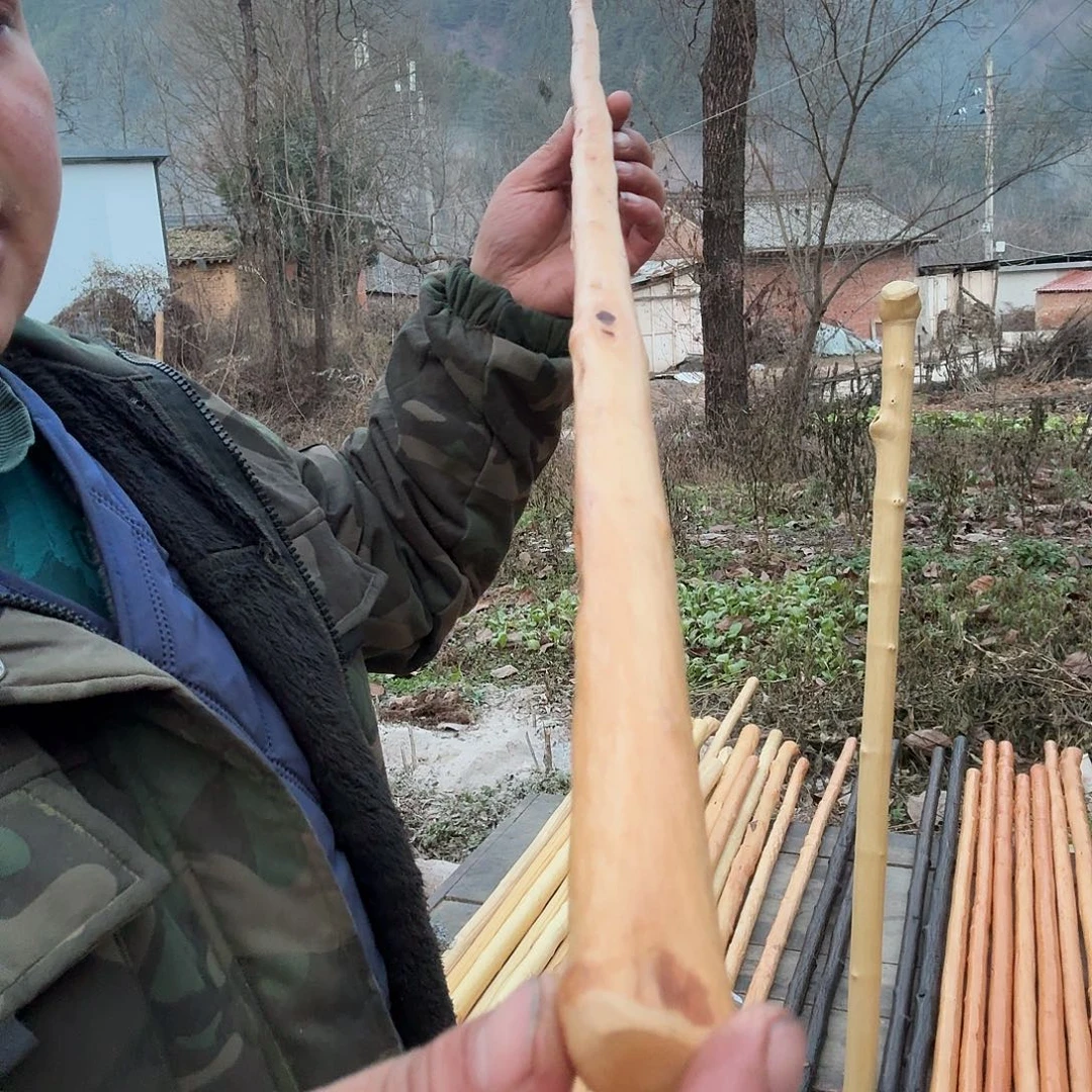 海***盗好好好好好好好好好好