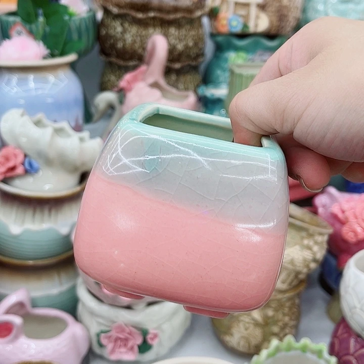 多肉植物陶瓷花盆