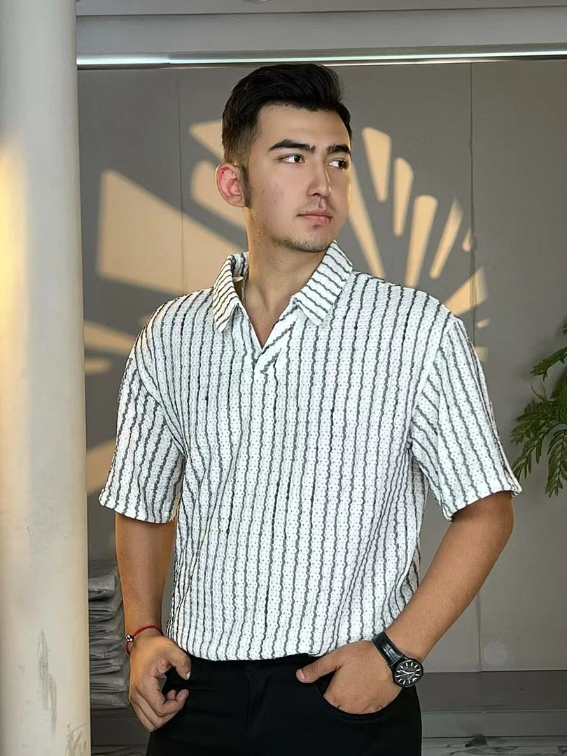 夏季短袖常规薄款男装上衣职场休闲风