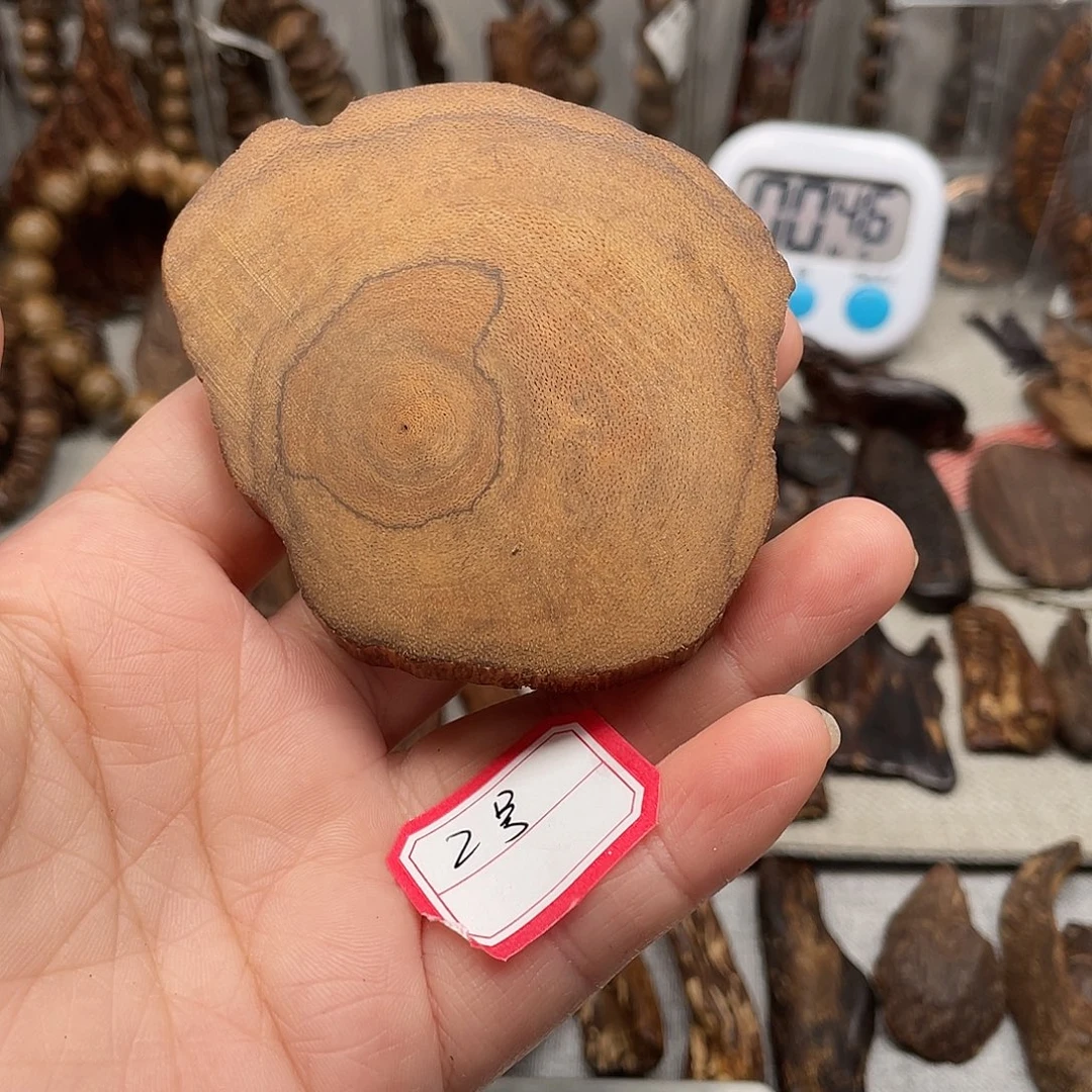 沉香沉香碎屑达拉干2