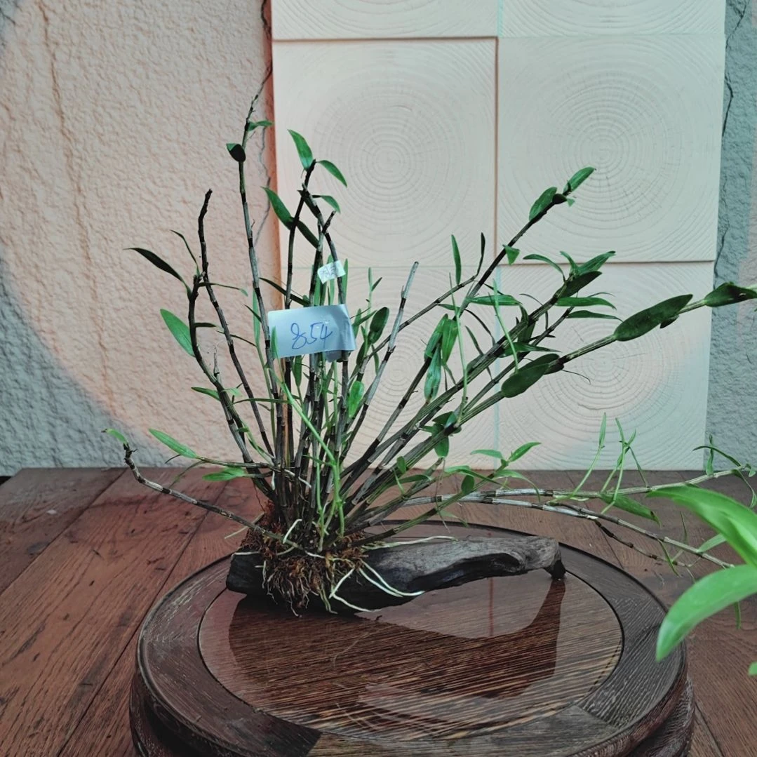 全部花朵854铜皮花