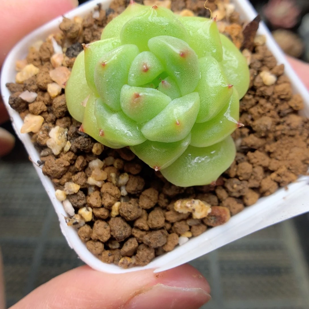 T137y y y y y y y y y y