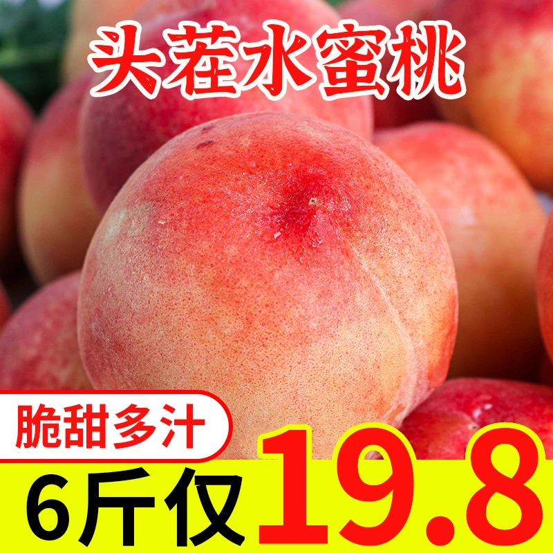 现摘新鲜水蜜桃红美人带箱2-6斤脆桃毛桃当季新鲜水果桃子批发