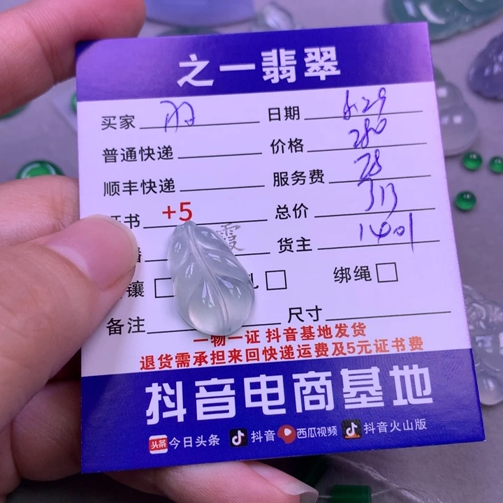 颈饰未镶嵌翡翠羽