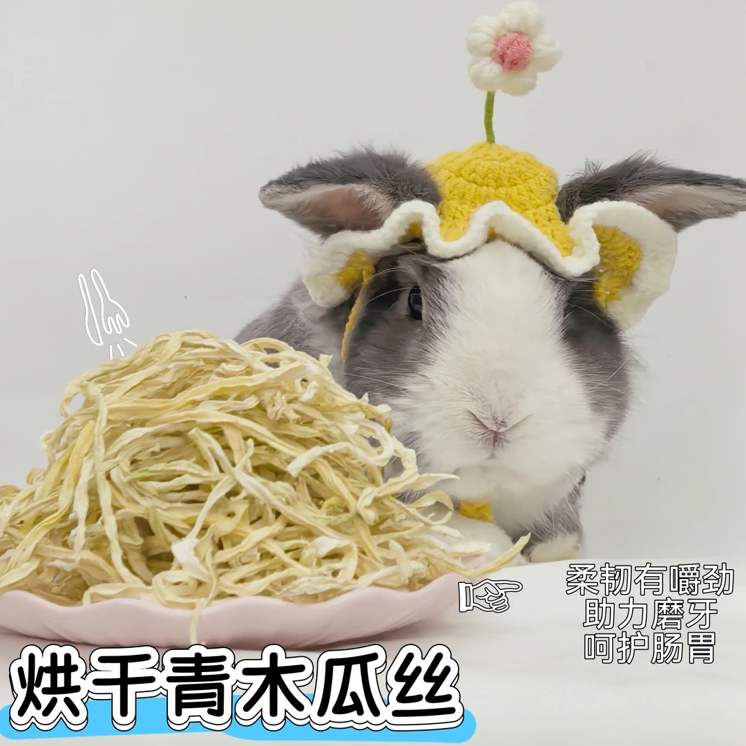 木瓜丝兔子零食烘干青木瓜龙猫兔兔助排毛球木瓜干荷兰猪豚鼠用品