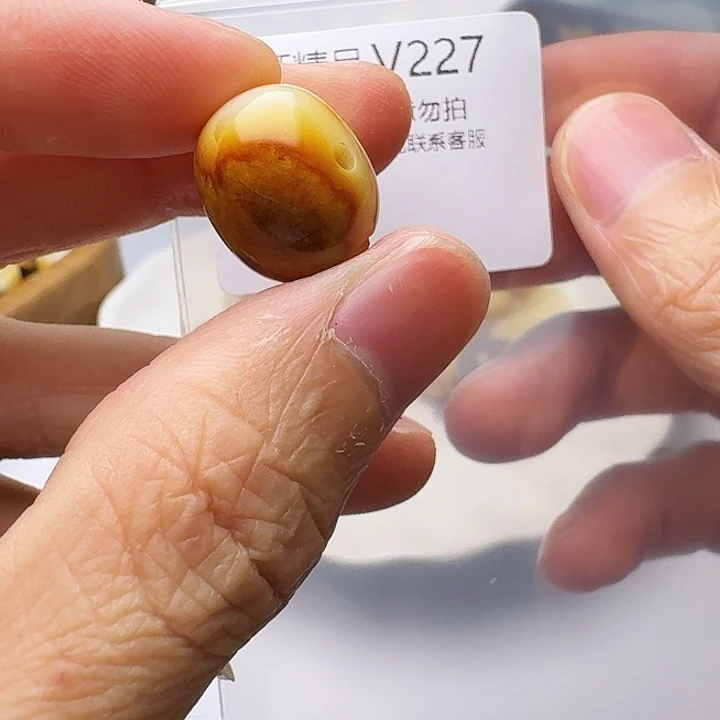 裸石琥珀未镶嵌琥珀