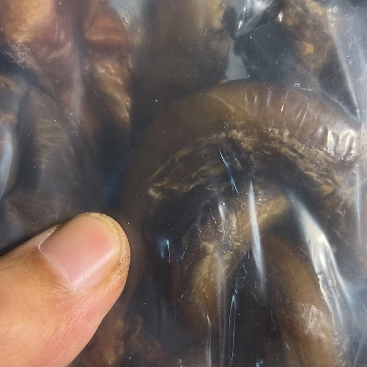 对***点ZX大炮大炮大炮大炮