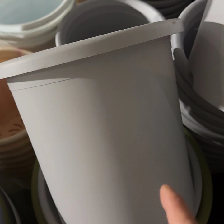 四季7号新灰白无托6个特价