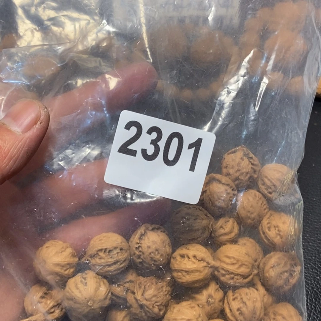 文玩核桃吊坠糖*丶秋子