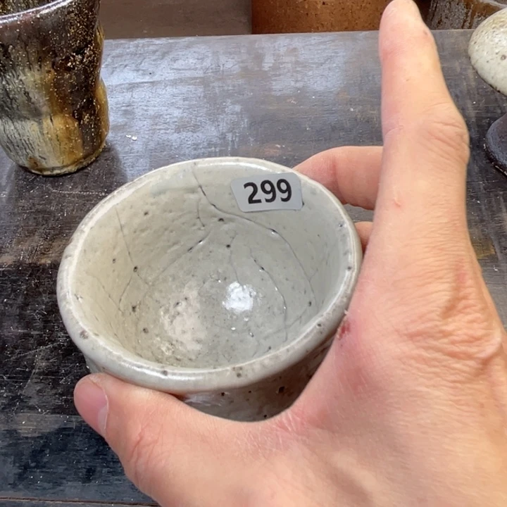 茶宠?****?盏盏灯都是我的爱啊我