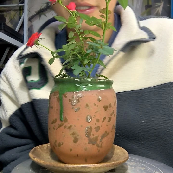 穷****面中青园艺一物一拍花4