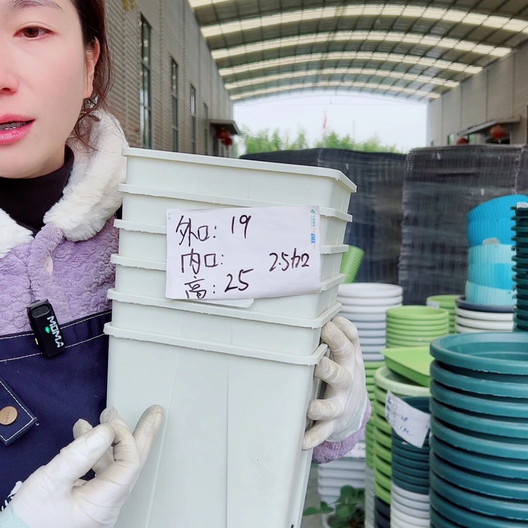 Kg192#米白6个无托