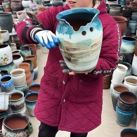 19口27高盆子盆子